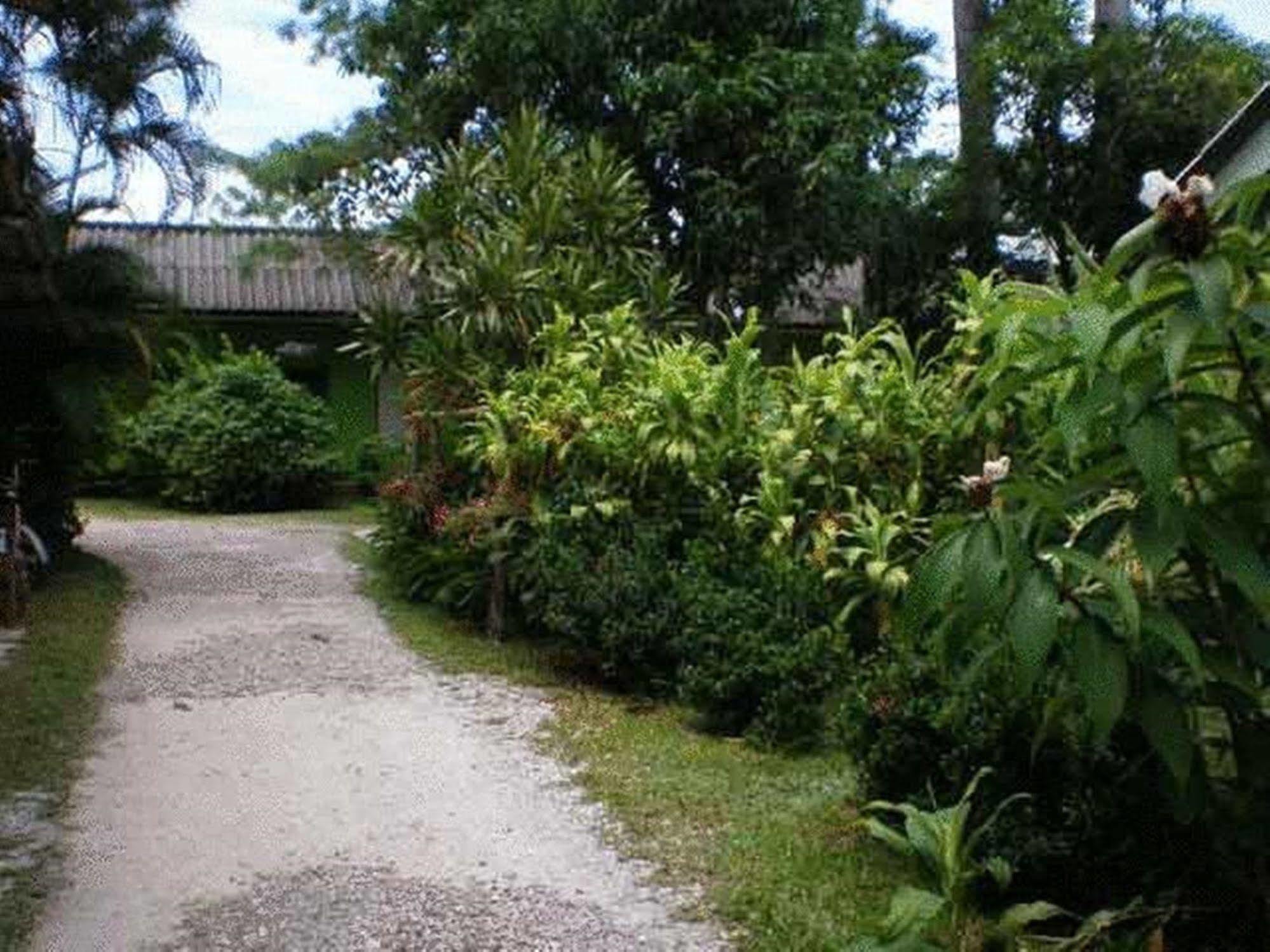 צ'יאנג ריי Baan Bua Guest House מראה חיצוני תמונה
